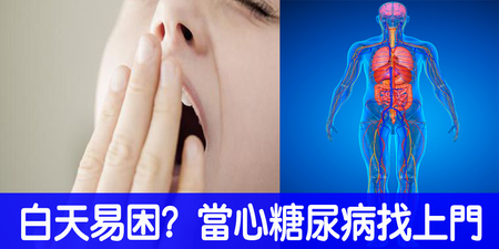 夜晚失眠，白天卻哈欠連連？當心「飯後血糖」過高，「糖尿病」找上門！這一類人最危險！｜每日健康Health