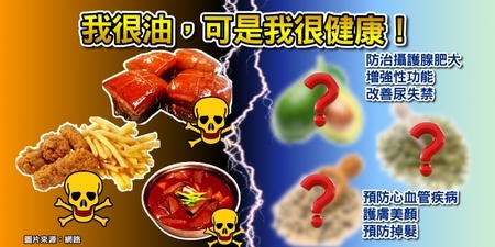 「三種油食物」越吃越健康！「人體潤滑劑」用吃的，「心、肝」機能全激活！｜每日健康Health