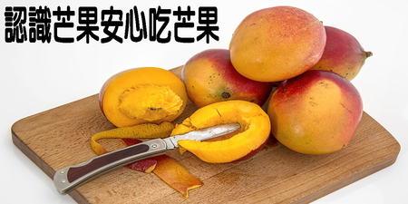 「芒果」吃多了會「中毒」？成人一天不可吃超過這個分量！｜每日健康Health