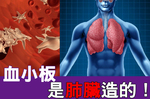 醫界突破！「護肺」就是護血，「血小板」是「肺臟」製造！｜每日健康Health
