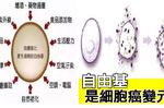 「自由基」是萬病之源，癌症、老化都和它有關！專家：吃「兩種抗氧化物」最能有效清除｜每日健康Health