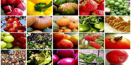 吃對了就「有酵」1 ~ 12 月當季蔬果報你知，多吃多健康，照著吃讓你每個月都健康！