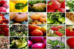 吃對了就「有酵」1 ~ 12 月當季蔬果報你知，多吃多健康，照著吃讓你每個月都健康！