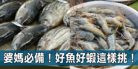 吃「蝦頭」吃進一嘴「膽固醇」！掌握「好魚好蝦八要訣」，避開藥物、重金屬「NG地雷魚」！