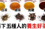 紅茶、綠茶、普洱茶誰是「甩油王」？「五種人」對症喝茶喝離「糖尿病」！｜每日健康Health