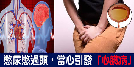 尿憋越久膀胱越有力？美研究：「憋尿」超過這時間，恐點燃「心臟病、腦出血」不定時炸彈｜每日健康Health