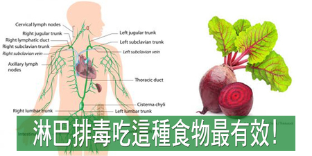 「淋巴不通」百病生！快吃「這種食物」打通淋巴二脈，24小時迅速排毒｜每日健康