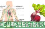 「淋巴不通」百病生！快吃「這種食物」打通淋巴二脈，24小時迅速排毒｜每日健康