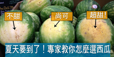 挑西瓜還在靠運氣？專家傳授「選瓜六訣」，粗糙表面最是好！兩類人不宜多吃！｜每日健康