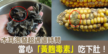 毒性是砒霜的68倍！一級致癌物「黃麴毒素」不只愛花生！三類食物「有毒、沒毒」一眼就看穿｜每日健康Health