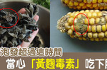 毒性是砒霜的68倍！一級致癌物「黃麴毒素」不只愛花生！三類食物「有毒、沒毒」一眼就看穿｜每日健康Health