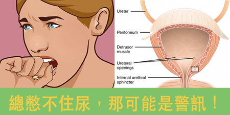 太常跑廁所也不健康！這9種病況也許正在發出求救訊號！