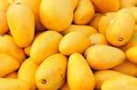 「芒果」營養豐富、味甘性溫，被稱為「熱帶果王」，但是這樣吃竟會感染「芒果皮炎」，甚至中毒休克！