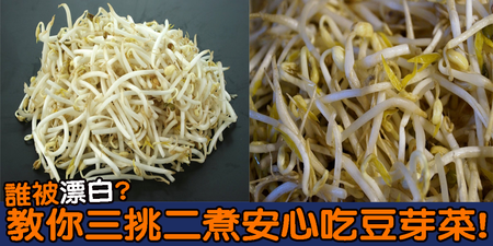 漂白「豆芽菜」吃進肚易致「腸胃穿孔」？教你「三挑二煮」安心吃下天然如意菜｜每日健康Health