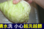 用「清水」洗「越洗越髒」的四種食物！教你把「農藥、蟲卵、泥沙」全洗淨！｜每日健康Health