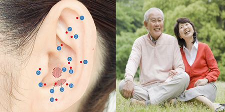 「耳朵」掌握身體健康？超過100個「穴道」簡單按，改善失衡自律神經、促進血液循環，每天都元氣滿滿！｜每日健康Health