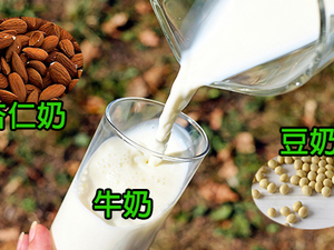牛奶、杏仁奶、豆奶哪個好？當心喝錯「腹瀉、增肥、過敏」通通找上門！