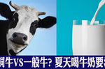 草飼牛VS一般牛營養評比。專家：夏天喝牛奶要注意這幾點，否則天天跑廁所｜每日健康Health