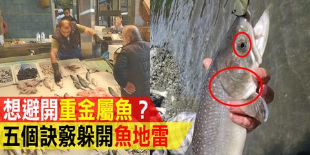 不想把「重金屬魚」吞下肚？「五訣竅」教你「巧避魚雷」，媽咪買魚更安心｜每日健康 Health