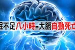 睡不好，病來找！「熬夜」過勞者注意，未睡飽「八小時」大腦竟會「萎縮自殺」？ ｜每日健康Health