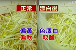 逾百萬人受害！「豆芽菜」浸「工業用漂白粉」流入市面！「觀色聞味、烹煮兩訣竅」遠離黑心豆芽菜｜每日健康Health