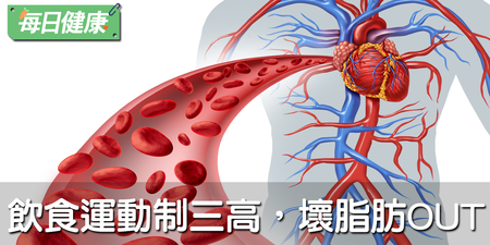 高血脂救星！簡單４運動＋８好食：從此遠離肥胖、心血管病｜每日健康 Health