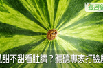 西瓜甜不甜看肚臍大小？專家打臉：遵循這兩個挑果聖旨再也不吃酸到皺眉｜每日健康 Health