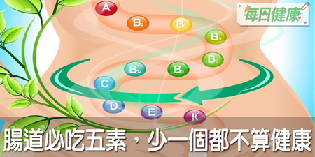 難怪你水腫、肥胖、脂肪肝！腸道營養５元素，缺少任何一樣就是與健康作對｜每日健康 Health