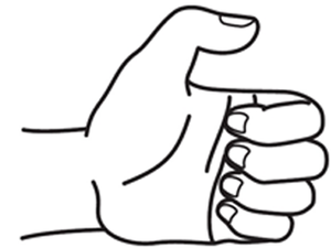 手指是第二個大腦！必學「拇指按摩法」促進循環、刺激大腦，中風、失智症沒你的事｜每日健康 Health