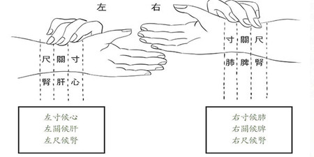 中醫「把脈」都是亂摸一通，騙錢的？名醫揭開把脈真相：教你怎麼自診，先釐清再來批判｜每日健康 Health