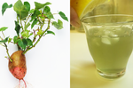 沒時間養生的最佳選擇：一招打出「地瓜葉」果汁，抗癌、排便，降糖尿。