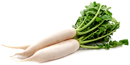 營養滿分好蔬果，能不吃嗎？五大『白蘿蔔』療癒好處，讓你遠離疾病不靠藥！