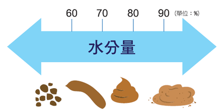 石頭便、漂浮便＝腸道不好？醫師破解糞便5迷思，大出這種顏色快就醫｜每日健康 Health