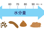 石頭便、漂浮便＝腸道不好？醫師破解糞便5迷思，大出這種顏色快就醫｜每日健康 Health