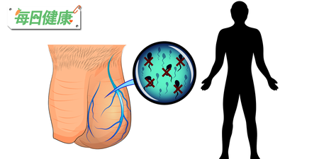 才20歲就不孕症！醫師點名7大惡習屠殺精蟲，比殺精藥還危險｜每日健康 Health