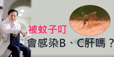 被蚊子叮會傳染B、C型肝炎嗎？肝病權威許金川出面說分明｜每日健康 Health