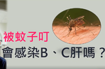 被蚊子叮會傳染B、C型肝炎嗎？肝病權威許金川出面說分明｜每日健康 Health