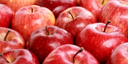 送給肝臟最好的禮物別再丟！一顆蘋果最營養的部分，以後請吃「蘋果皮」！