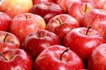 送給肝臟最好的禮物別再丟！一顆蘋果最營養的部分，以後請吃「蘋果皮」！