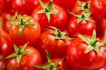 番茄沒有毒？！　醫師天天靠「番茄減肥法」月瘦11公斤