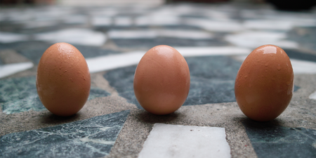 雞蛋放置冰箱，鈍端應朝上還朝下？食藥署傳授五招「挑蛋技巧」