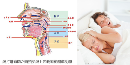 經常打呼恐影響心肺功能？醫師建議「側睡」等4方法抑制鼾聲