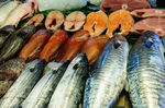 美研究指出「4種魚類、3種吃法」不僅能降血壓，還能抑制心血管病