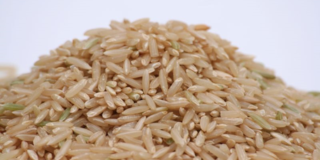 吃對「糙米」改善肥胖、失眠、便祕　料理三步驟缺一不可