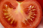 怎麼分辨蕃茄有沒有打生長素？專家教２招一秒分辨，別讓家人吃下「化學蕃茄」
