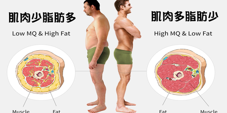 節食會瘦全都是假象！一不小心變成「泡芙人」：表面瘦了，但體內卻滿滿脂肪，別再棄健康不顧啦～