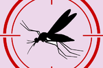 時不停有蚊子在眼前飛？你的「飛蚊症」有危險性嗎？5個方法自我檢測