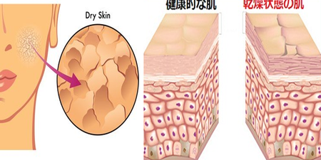 補水要先儲水，小心肌膚鬧「水荒」原來化妝水後不該擦乳液，取而代之的『分子釘』你一定要認識！