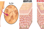 補水要先儲水，小心肌膚鬧「水荒」原來化妝水後不該擦乳液，取而代之的『分子釘』你一定要認識！