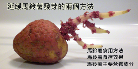 馬鈴薯高纖護血管又不易胖　專家教你三個辦法延長保存期限不發芽